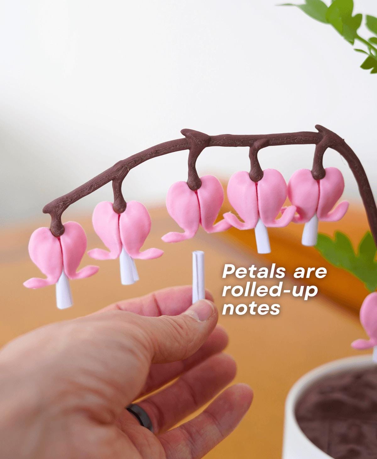 Bleeding Hearts Jewelry Box - Functional Plant Design for Valentine's Day - Romantic Gift, or Valentine Day Home Decor - Love Notes
