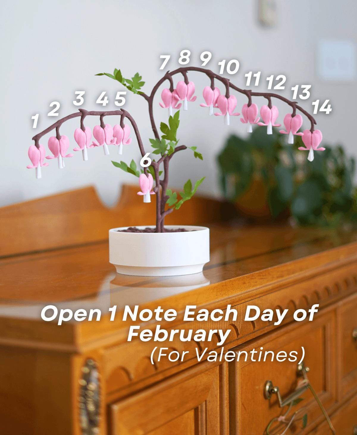 Bleeding Hearts Jewelry Box - Functional Plant Design for Valentine's Day - Romantic Gift, or Valentine Day Home Decor - Love Notes