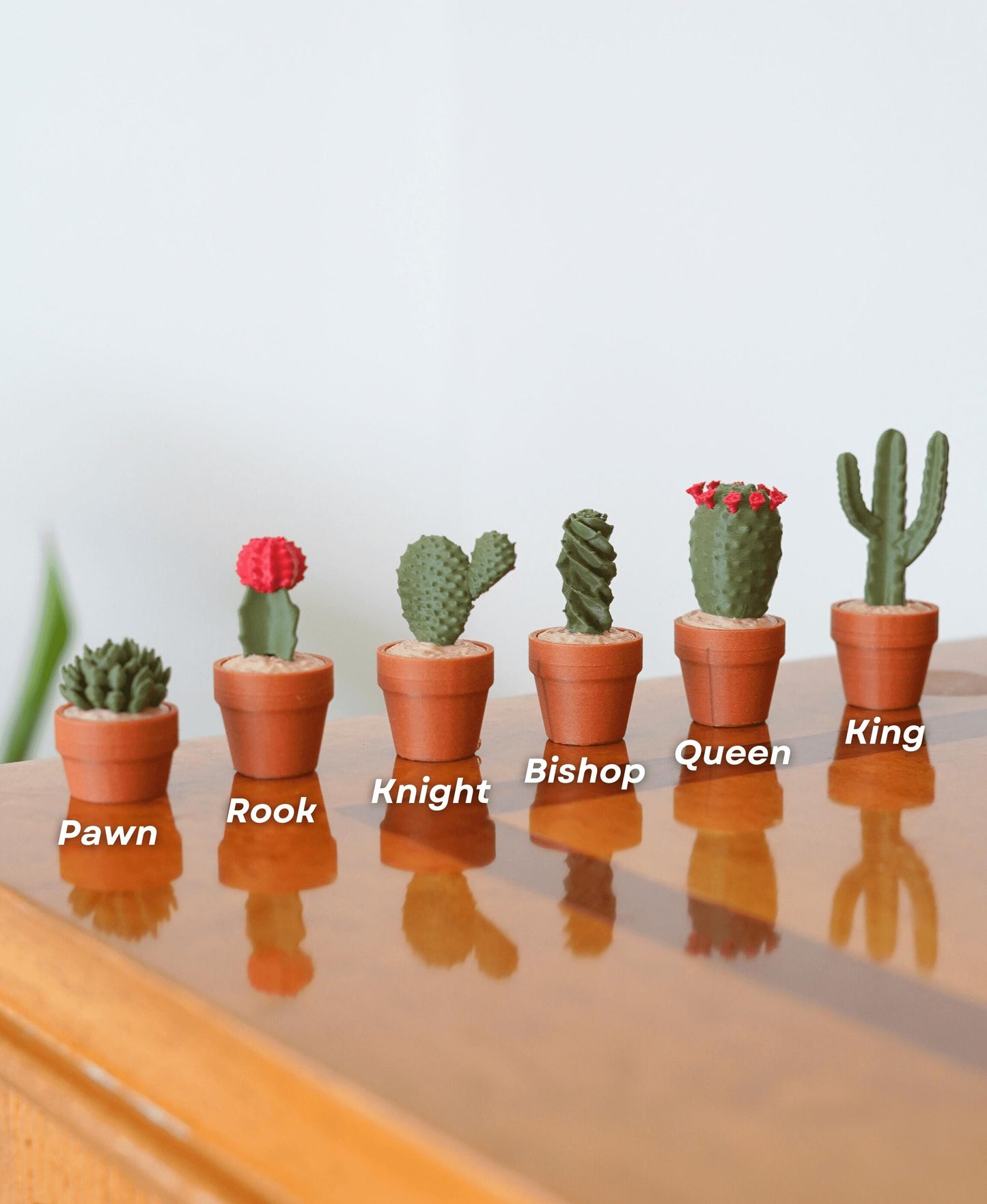 Cactus Chess Set | Roll-Up Portable Magnetic Chess for Travel | Unique Succulent Themed Gift for Plant Lovers & Board Game Fans | ForgeCore