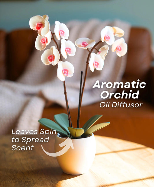 Aromatic Orchid