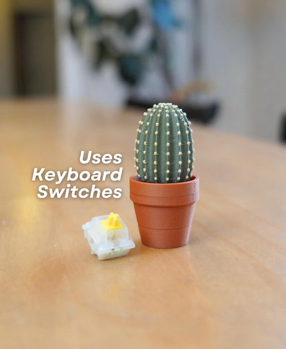 3D Printed Clicky Cacti Fidget Toy | Pocket Plant with Mechanical Switches | Stress Relief Desk Toy | Fun Succulent Fidget for Anxiety