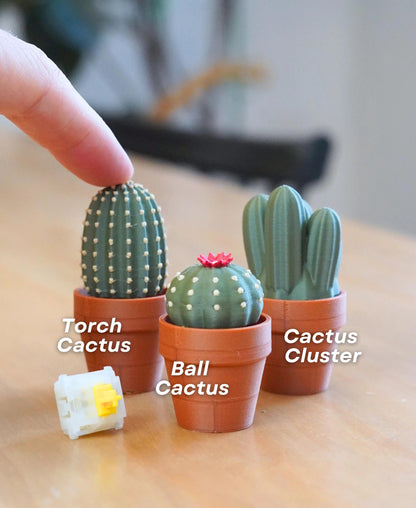 3D Printed Clicky Cacti Fidget Toy | Pocket Plant with Mechanical Switches | Stress Relief Desk Toy | Fun Succulent Fidget for Anxiety