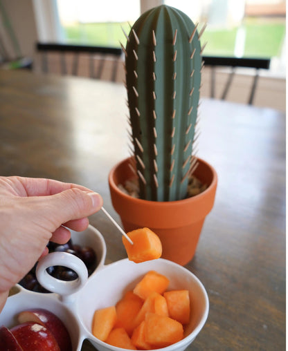 3D Printed Cactus Toothpick Holder | Succulent Kitchen Decor | Cute Toothpick Dispenser | Fun Cactus Holder for Table or Party Decor