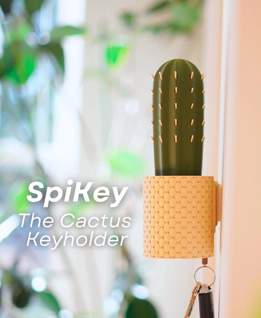 Spikey Key Holder | Cactus Key Holder | Wall Mounted Key Rack | Succulent Decor | Cute Key Organizer | Home Key Holder | Housewarming Gift